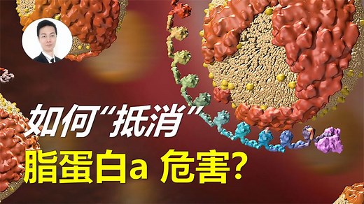 脂蛋白a Lp (a) 升高会带来怎样的风险？如何应对这种危害？