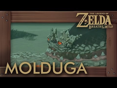 Zelda Breath of the Wild - All Molduga Locations (How to Get Medal of Honor)