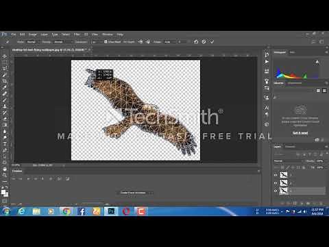 How to create a wings bird gif animation/ Photoshop