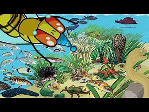 Every Mediterranean Fish I Spotted This Summer | Underwater Encounters!