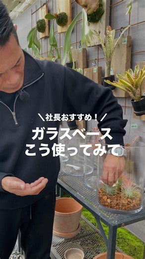 植物家族 | ガラスベースの使い方についてご紹介しました🎥 ガラスベースは通販サイトにて販売中！ @shokubutu.kazoku のプロフィール下の 🔗植物家族からチェックしてください☺️ By もえ🐣 …………………………………… YouTubeでは... | Instagram