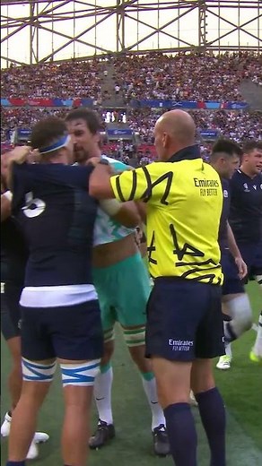 Le calme des arbitres de rugby au milieu d'une bagarre ❄️ #Rugby