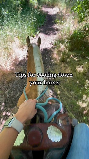 Watch those temperature and humidity numbers too! #cowgirlmagazine #horsetips #ranching #westernlifestyle | COWGIRL Magazine