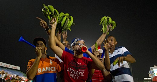 Your Red Sox-centric guide to winter league baseball