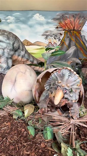 🦖 Dinos erobern Magdeburg! Bis zum 08. März 2026 steht die Mega-Ausstellung „Dinosaurier – Im Reich der Urzeit“ auf dem Jerichower Platz in Magdeburg! 🤩 Erlebt über 50 originalgetreue Dinosaurier-Modelle, manche bis zu 28 m lang & 8 m hoch und das hautnah. 🦕🦖 Taucht ein in die Urzeit: lernen, staunen, Fotos machen & im Ausgrabungscamp selbst zum Dino-Forscher werden! 🧑‍🔬🦴 ￼ 📅 Öffnungszeiten in Magdeburg: Mi-Fr: 14 – 18 Uhr Sa & So: 11 –18 Uhr 📍Jerichower Platz (Am Elbauenpark) | Tourist