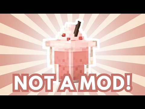 Get Custom Items in Vanilla Minecraft! 🐻 | CIT Resource Packs Guide!