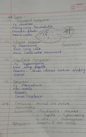 Score 95+ in Biology 📊 | Chapter 2 Quick Notes Class 11 Biological classification