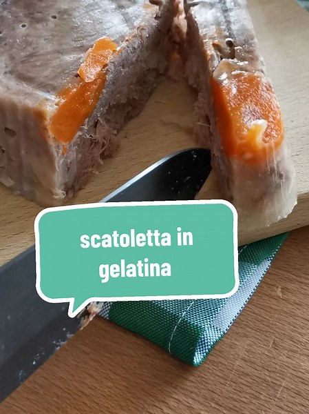 Ricetta Scatoletta in Gelatina per Cani