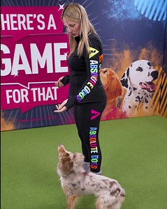 216 reactions · 24 shares | If ‘On Lead’ walks are a problem for you...