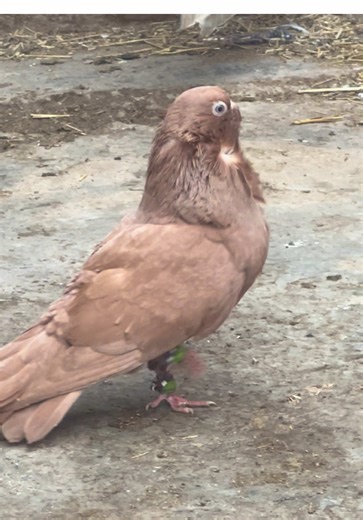 مشاءالله صلو عل نبي♥️