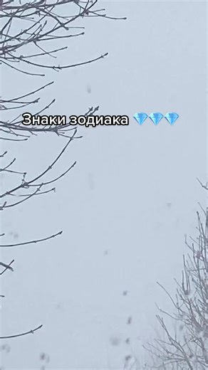 Winter Wonderland: Captivating Snowy Tree Landscapes