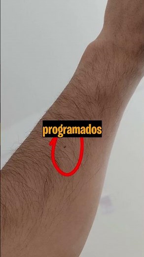 QUESTIONS THAT HAVE NO ANSWERS