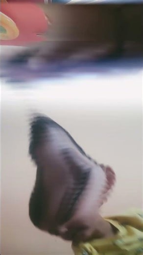 16 de febrero de 2026