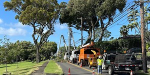Tree removal prompts partial road closure in Manoa