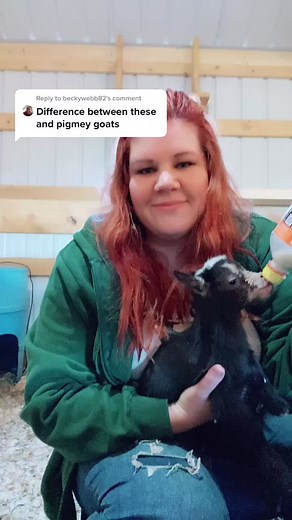 Pygmy Goats vs Nigerian Dwarf Goats: Key Differences