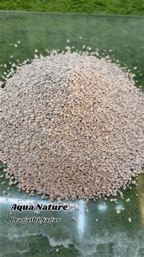 Green Land Natural Aquarium Sand available at Aqua Nature…😎