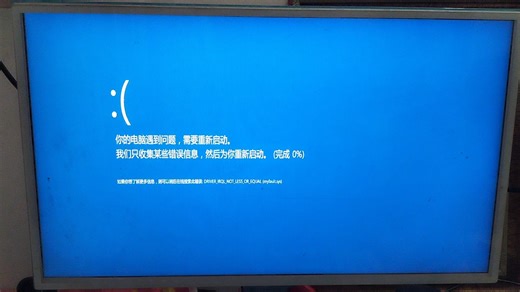 玛吉斯轮胎有蓝屏死机（Windows 8.1重制版）