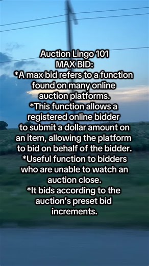 Auction Lingo 101: Understanding Max Bids
