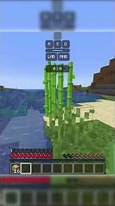 Minecraft, but blocks drop random items