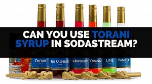 Can You Use Torani Syrup For SodaStream? [Flavor Alternatives]