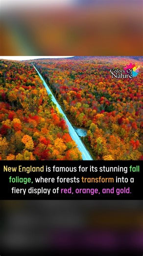 Top facts | Colors Of Nature