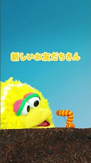 新しいお友だち🐛 #ビッグバード #スライミー #お友だち #友だち #セサミストリート #shorts