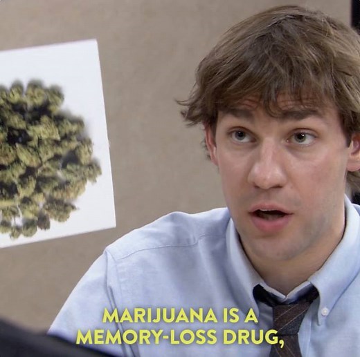 Celebrate 4/20 with a serious investigation. The Office is on now. | Comedy Central