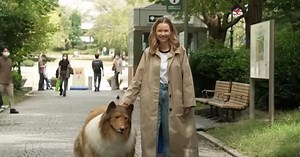 Watch: How dogs and humans reacted to man walking on all fours dressed in a realistic dog costume