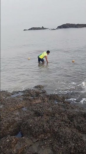 Sikh Lo machhi kaise pakdate hain 🐳🐋🐋🐋🐳🐳🦈🐬🐟🦈🐬🐋🐟🐟