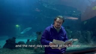 20 reactions |  Happy World Book Day! Listen to our Guide Manager, John, read Turtle Trouble by Stuart McDonald. This brilliant story teaches the importance of keeping plastic out of our oceans to help save marine life.  If you would like your own copy, these are available to purchase in our Deep-Artment store.  World Book Day (UK & Ireland) #TheDeepHull #Hull #Aquarium #WorldBookDay #BookDay #HappyWorldBookDay #TurtleTrouble #Storytelling | The Deep | Facebook