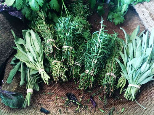 5 Herbs Everyone Should Grow at Home, According to an Expert Gardener