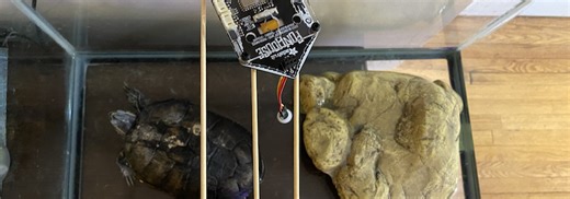 UPDATED GUIDE: Track a Turtle with WipperSnapper #AdafruitIO #WipperSnapper #Turtles