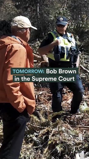 Tomorrow, Bob Brown will return to the Tasmanian Supreme Court to appeal his trespass conviction stemming from his 2022 arrest while defending critically endangered Swift Parrot habitat from logging. Last year, a magistrate dismissed his appeal against the charge. Now, his case will be heard by the full bench of the Court. Watch the moment he was arrested in this video. “Under federal and state law, it is illegal to destroy the habitat of the critically endangered Swift Parrot, but the judge fou