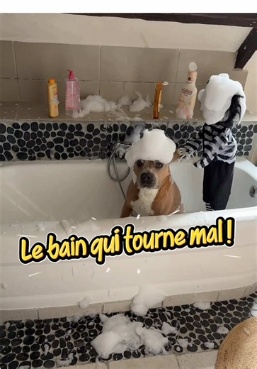 Le bain qui tourne mal : des moments hilarants !