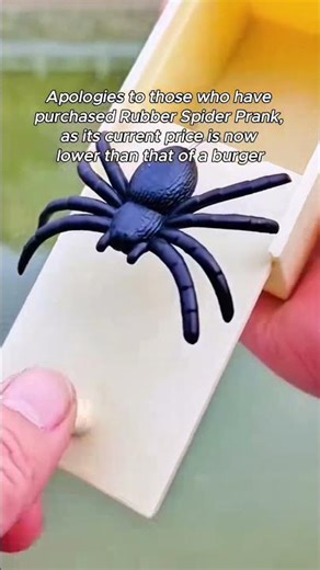 This rubber spider prank box is hilarious!