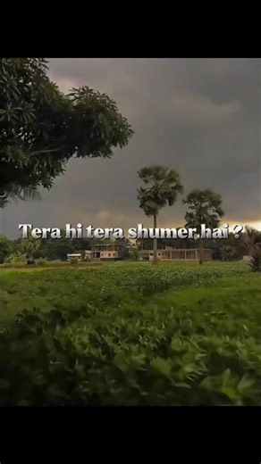 malang song | #lyrics_whatsapp_status | malang song lyrics edit video | love turn to EGO hurt |