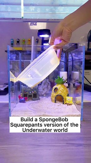 Spongebob Squarepants#spongebobsquarepants #tk #fishing #aquarium #fishtank #fouyou #tk #diyfishtank