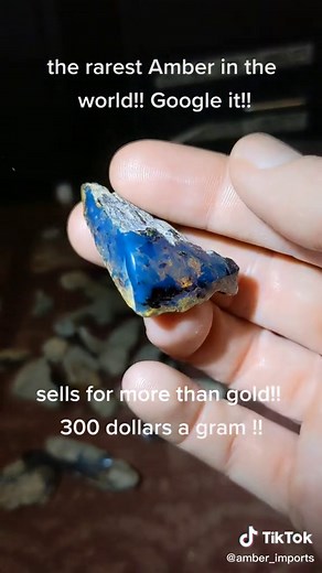 Rare Blue Dominican Amber | Gemstones and Minerals