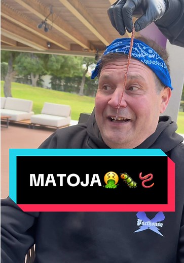 Itikoita ja matoja - mitä videolla näkyy?