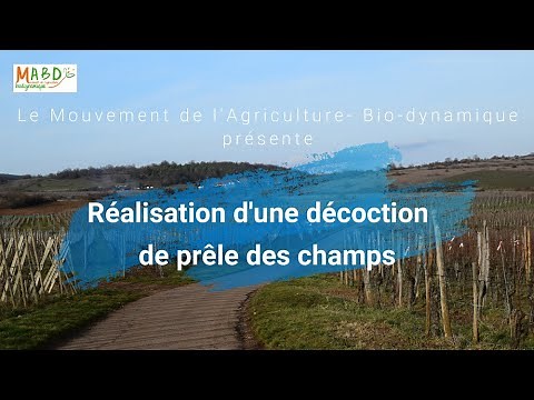 Réalisation et pulvérisation d'une décoction de prêle - Mouvement de l'Agriculture Bio-Dynamique