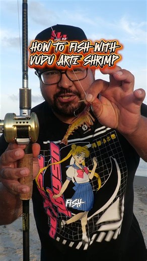 How to fish artificial shrimp, specifically vudu shrimp. Vudu shrimp is an iconic lure that catches every inshore fish. I have caught snook, flounder, reds, pompano, and speckled trout. I have jumped a few tarpon with it, but never actually landed them. I like to tie a loop knot and also fill the belly slot with shrimp procure for added effect. The way I like to work them is to jig the bottom, especially close to structure. It's important to have a light action rod to effectively work this lure.