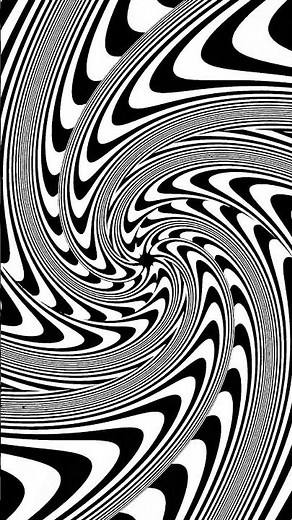 Perception Drift Fractals | Black & White Visual Trance |#fractalloop #illusion