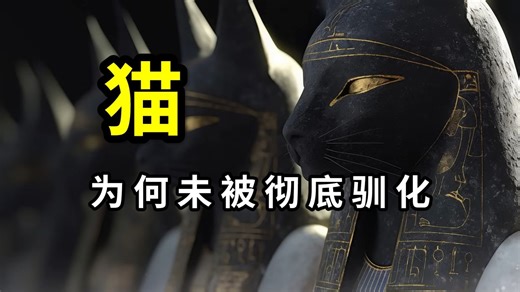科学家在3,000年前的木乃伊里，发现了一种寄生虫？