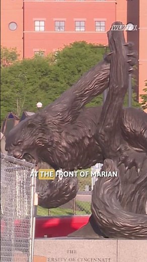 After 3 years in storage, popular bearcat statue reinstalled on University of Cincinnati's campus