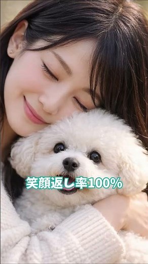 7 Classic Bichon Frise Moments [Best Of]