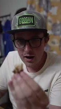 Giant Turtle Snapping Turtle Catch and Cook! #turtle #infestation #catchandcook