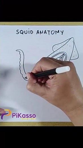 How to Draw Giant Squid Easy in Less Than One Minutes