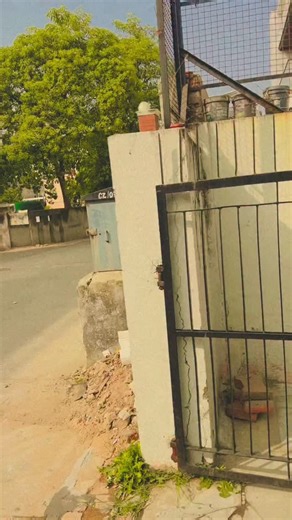 RADHIKA🧡🤍💚 on Instagram: "@radhika_yogi 😘 #radhikayogi 😘 @radhika_yogiofficial 😘"