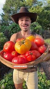 It’s not cheating if it’s “research.” 👀🍅 #Harvest #Garden #TikTokMoments #TikTok