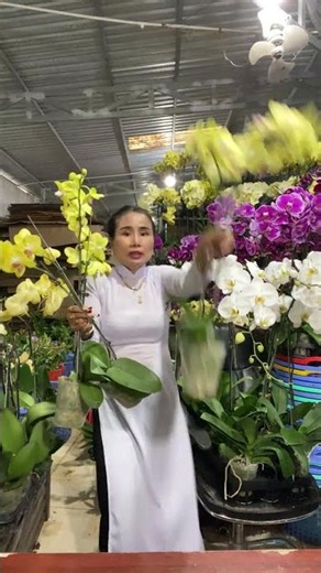 (Tham Khảo Mặt Hoa ) Hotline:090.317.7978 ☎️☎️